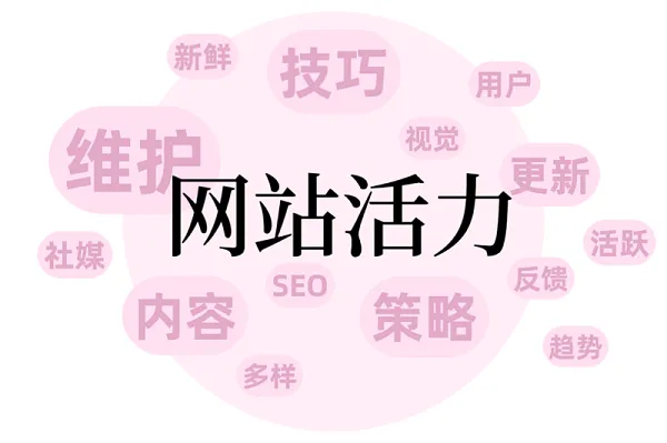 维护网站活力：网站保持内容新鲜的策略与技巧